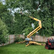 Best Emergency Tree Removal  in Shokan, NY