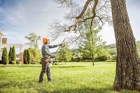 Best Hedge Trimming  in Shokan, NY